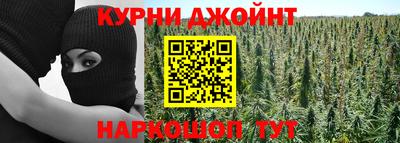 apvp Дмитров