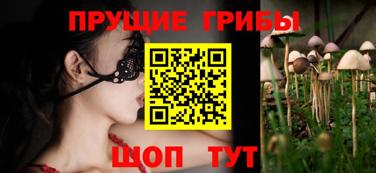 Бийск  Псилоцибиновые грибы мицелий  Вход с VPN 